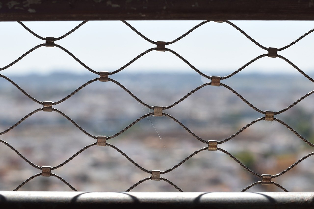 天美娱乐，注册|营销数字化转型的重要性