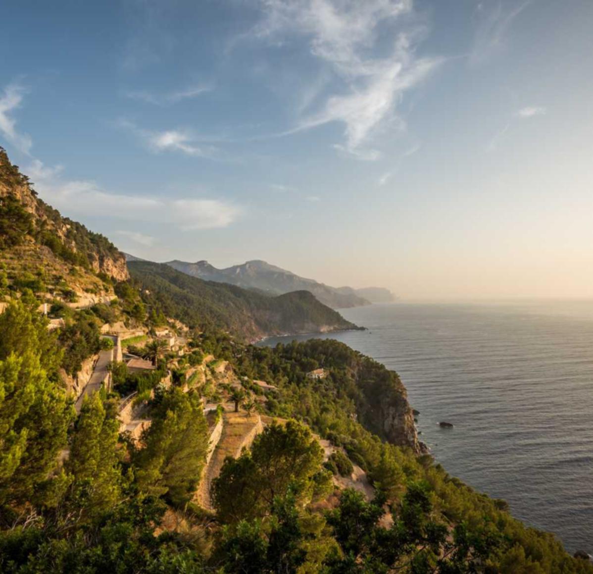 Peel百乐莫吉托爆珠：店铺转让平台代理