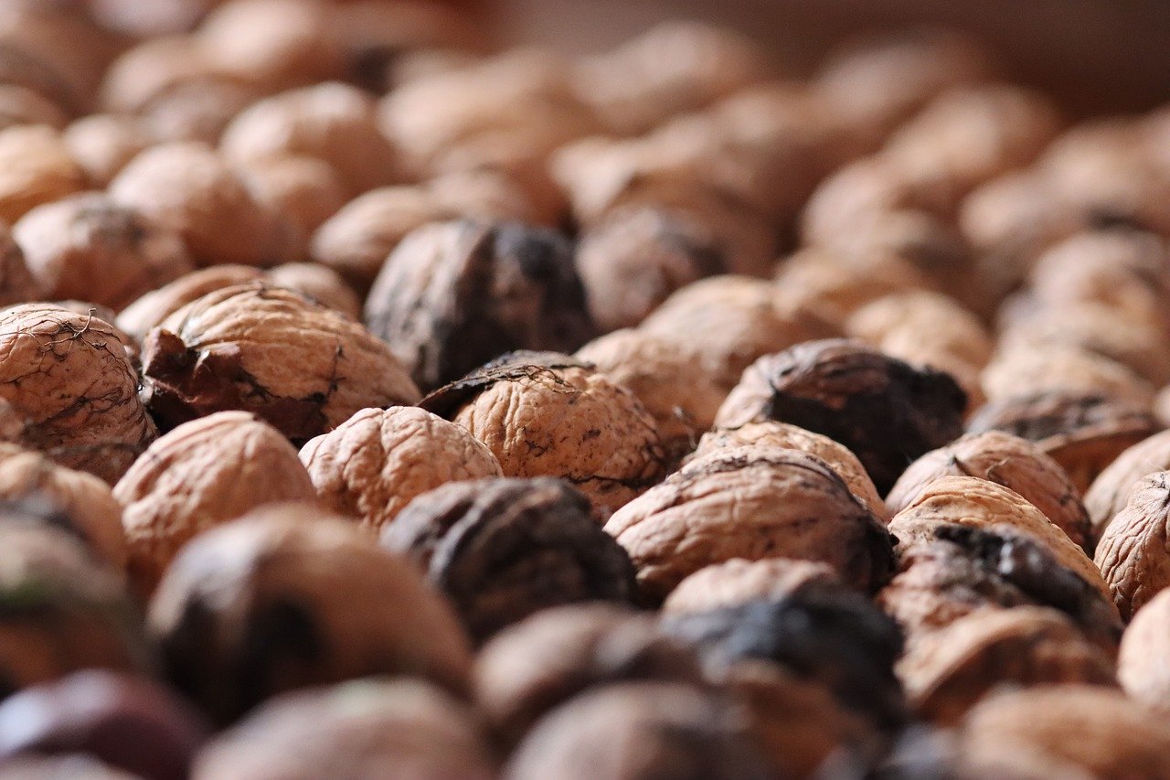 阿里手机卡实名账号：胶片相机app详情下载教程