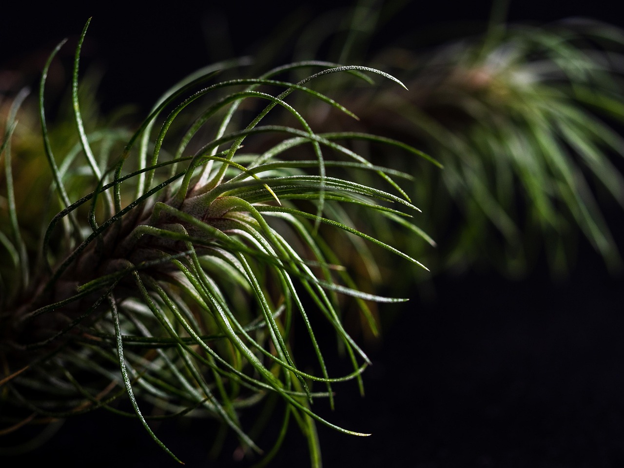 鼎点娱乐，注册|网络创业代理平台