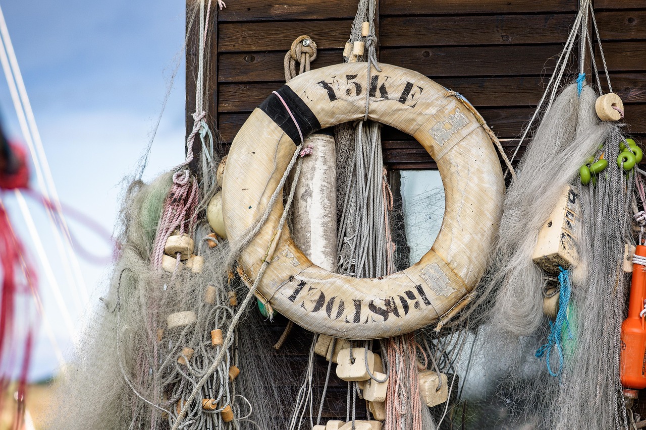 香烟训练和自我觉察能力和自我调节
