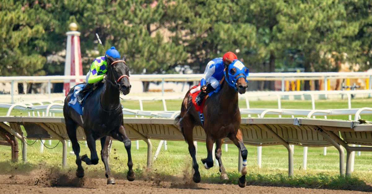 云立方ip实名账号：江阴注册公司 代理