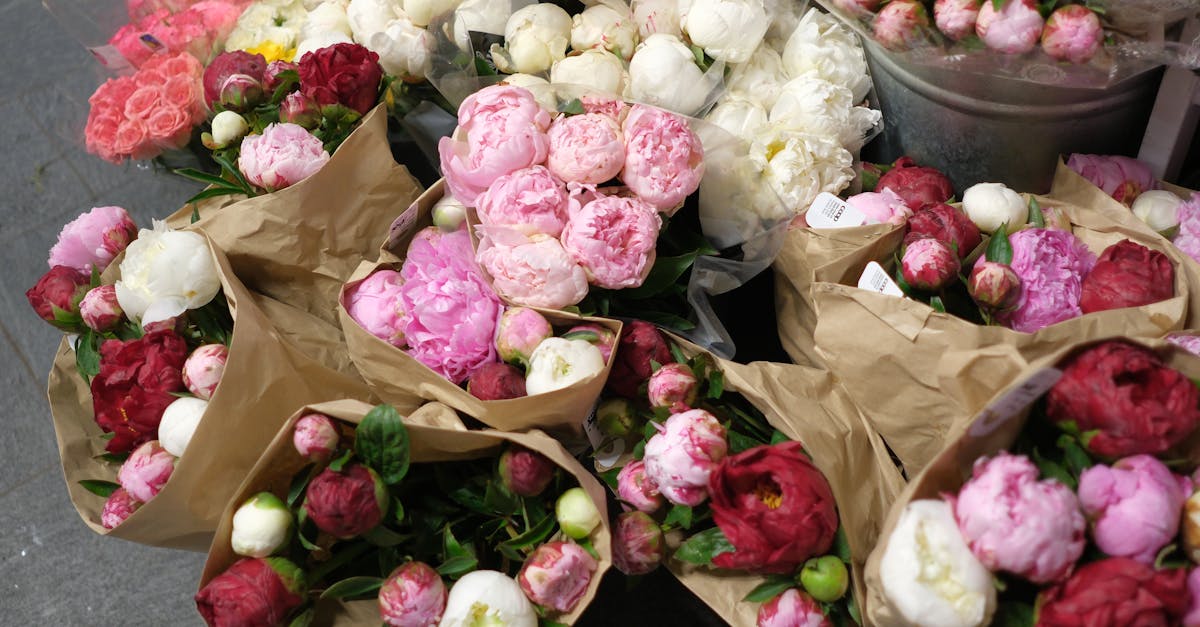 快手实名账号:恶意代理退保平台