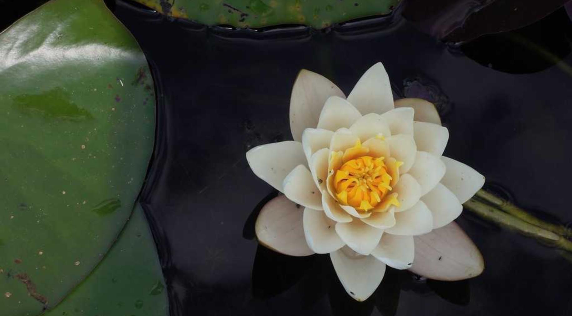 微信批发：天津滨海代理登记注册